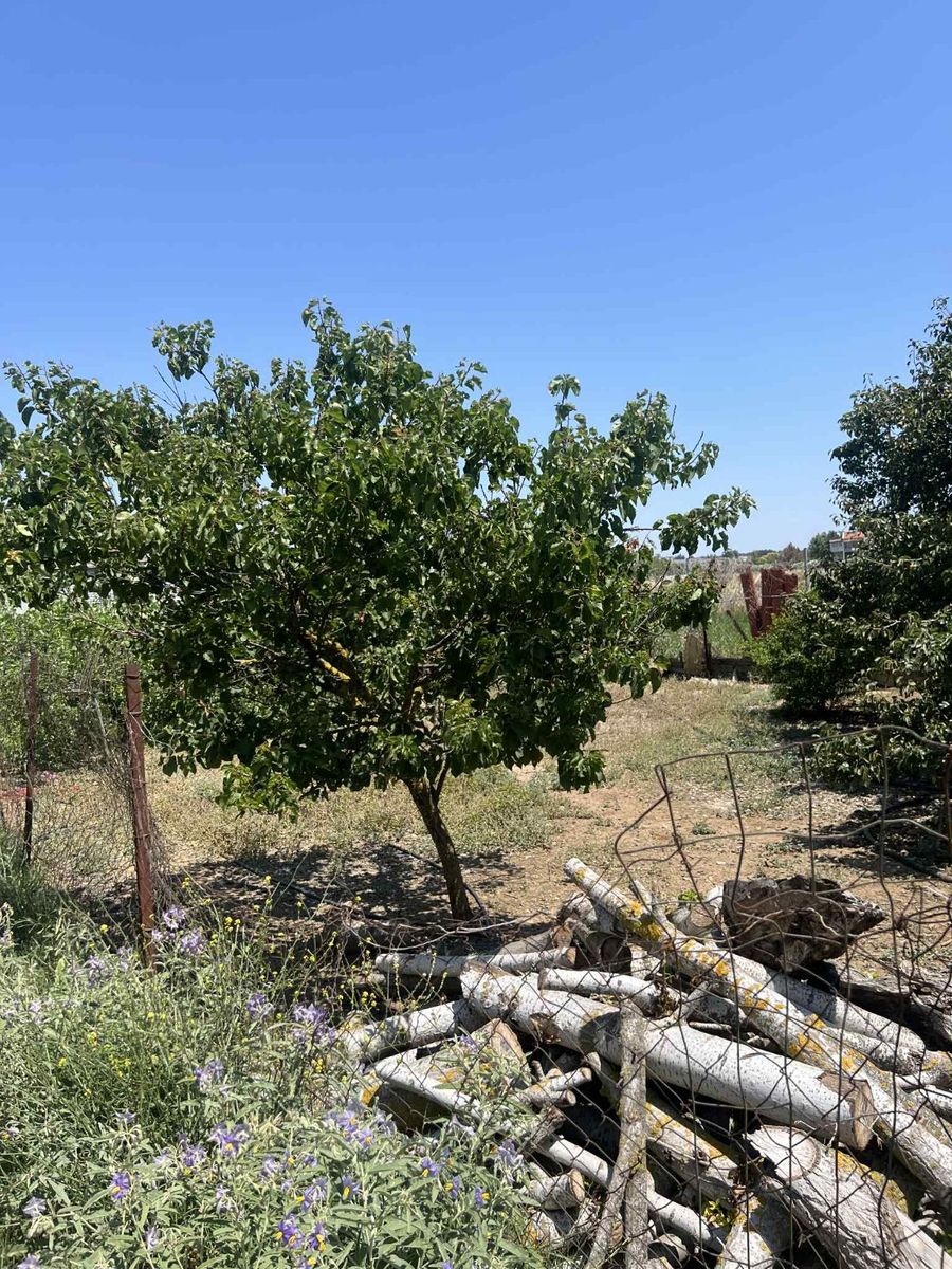 Parcel of 650 m²