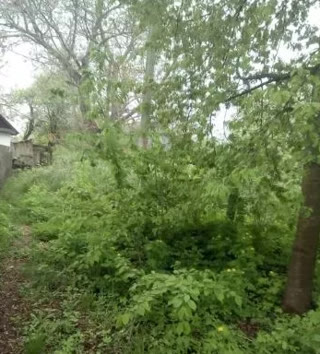 Derhachi for sale house center