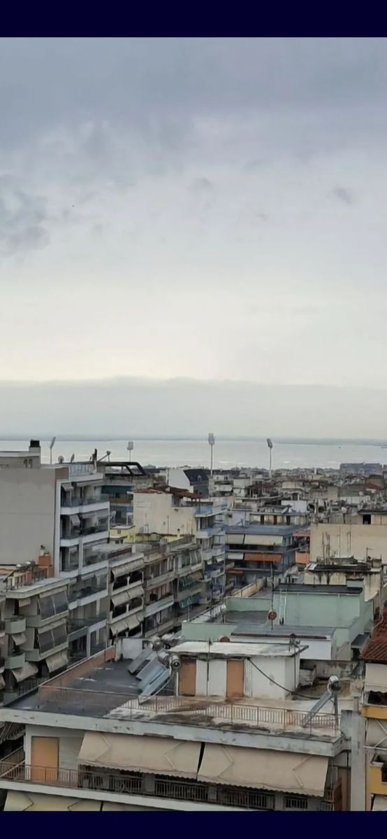 55 m² Studio