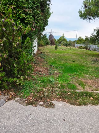 758 m² Plot