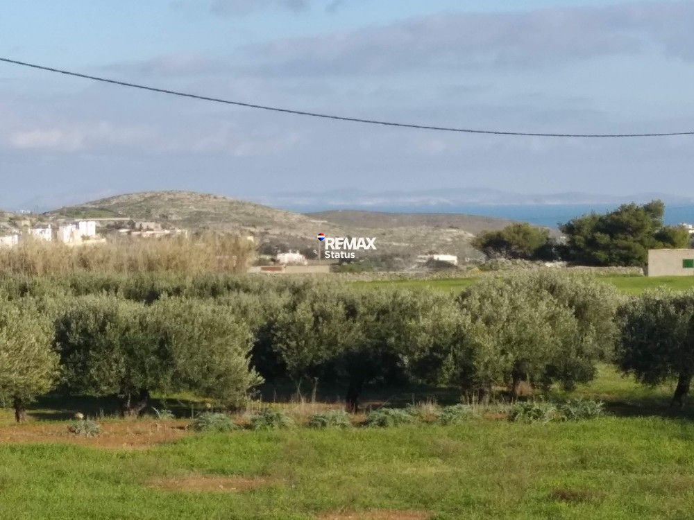 2782 m² Parcel
