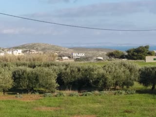 2782 m² Parcel