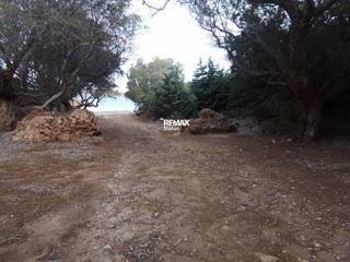 Участок 4161 м²