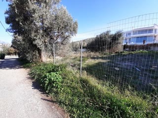 710 m² Plot