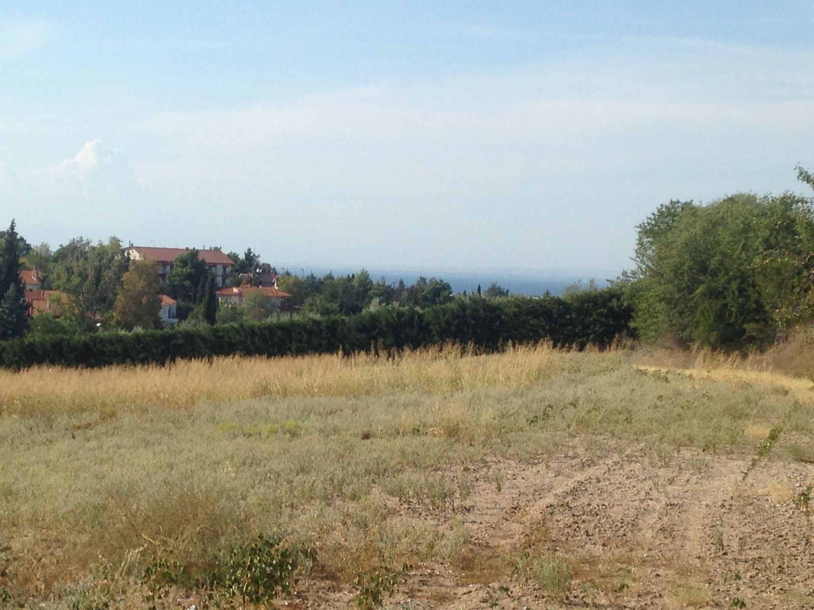 5000 m² Parcel