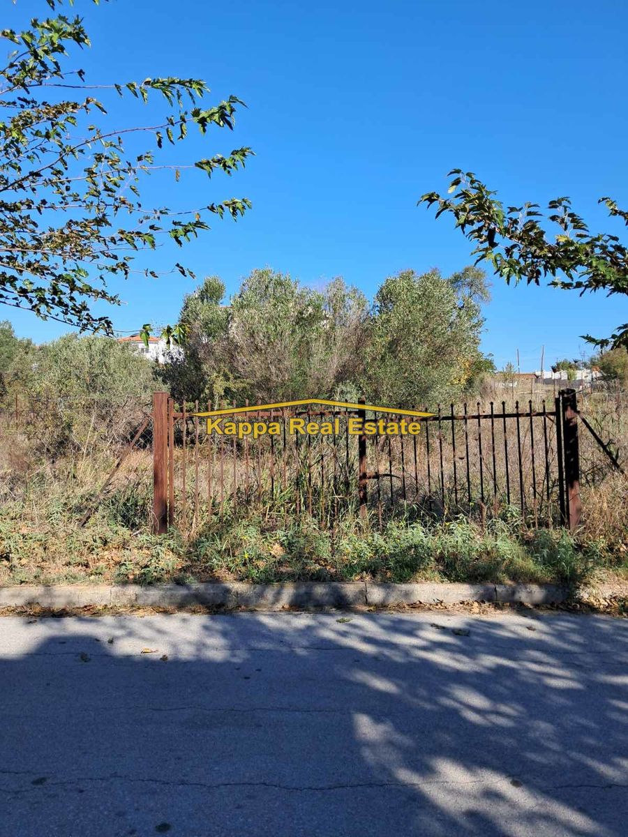 520 m² Plot