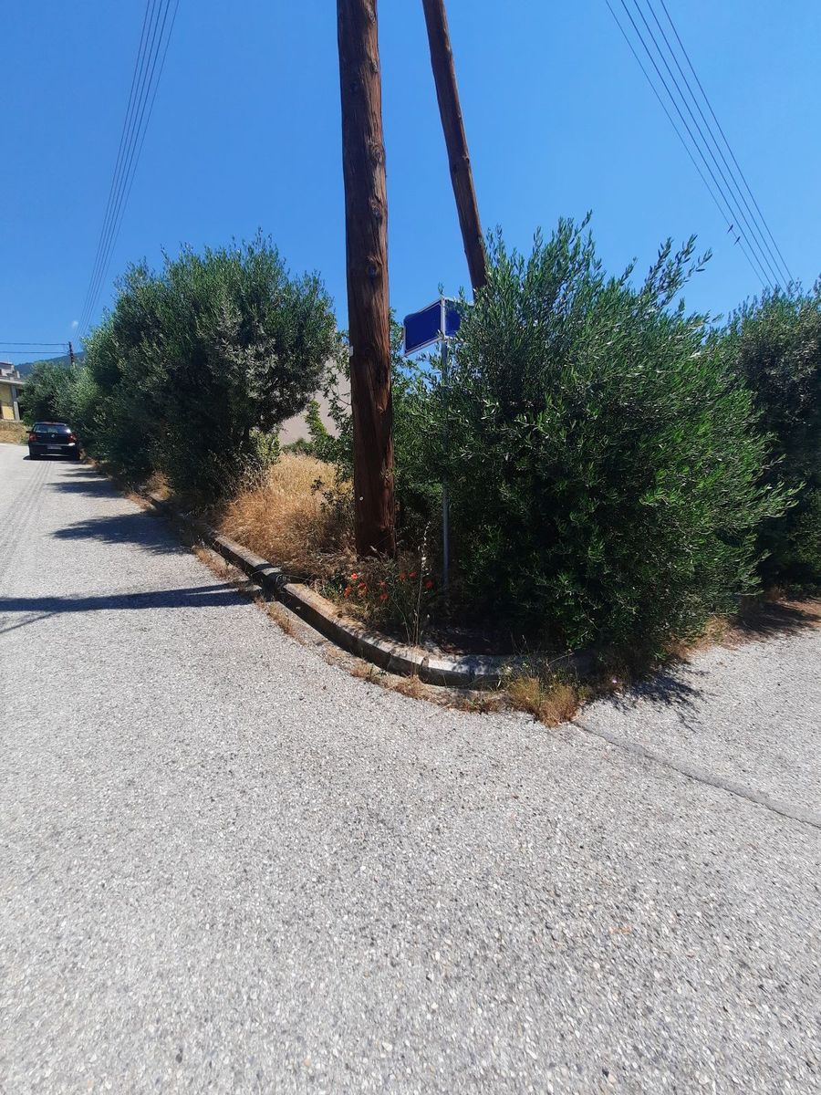 450 m² Plot