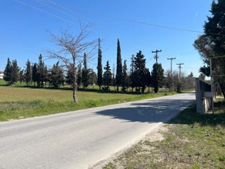 10740 m² Parcel
