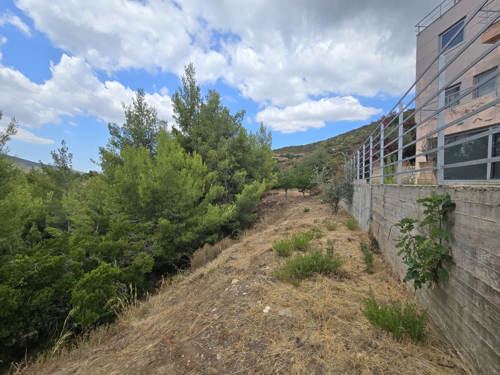 800 m² Plot