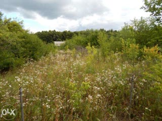 Two non-adjacent land plots for sale, Lyubotyn, Shpagatchik community