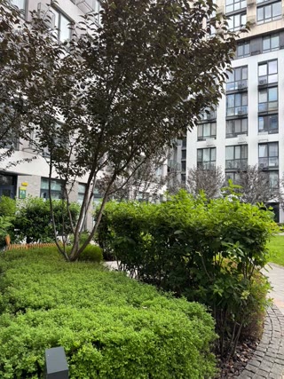 Sale of a 1-room apartment in the Faina Town residential complex near Nyvky metro station
