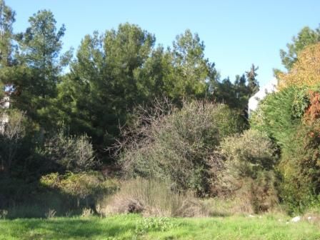 1000 m² Plot
