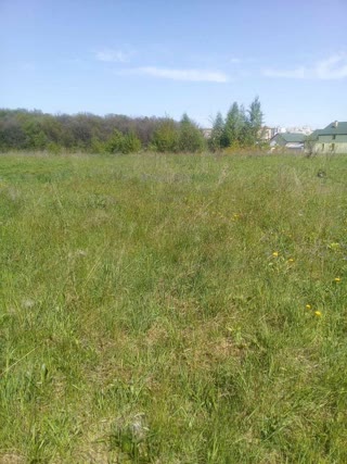 🏡 Продаж земельної ділянки під житлову забудову в с.Зубра
