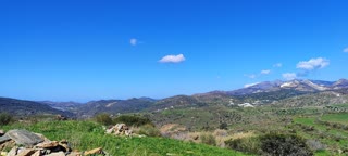 5000 m² Plot