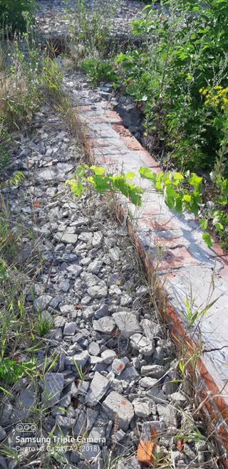 Plot of 10 acres Lyubotyn