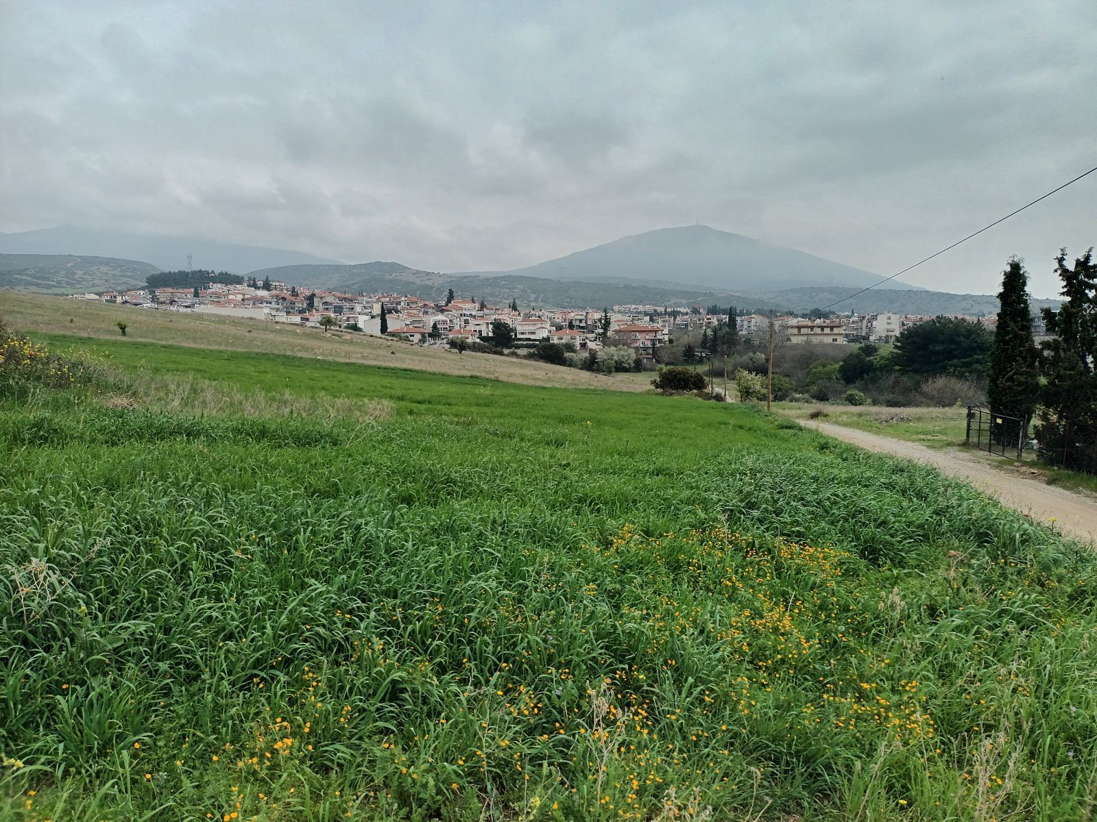 16000 m² Parcel