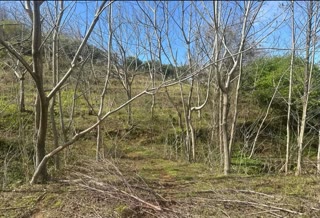 Strategic investment asset for exclusive development in Gonio!