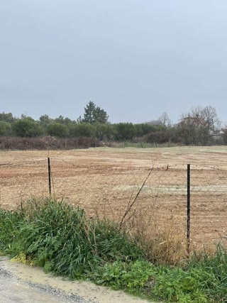 7000 m² Parcel