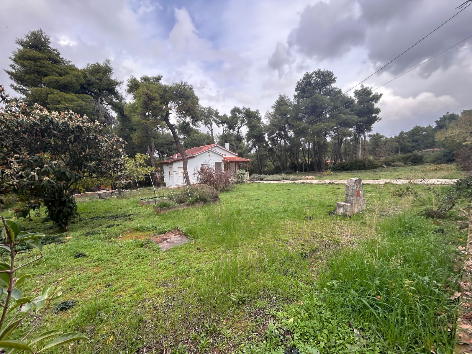 Οικόπεδο 4135τ.μ.