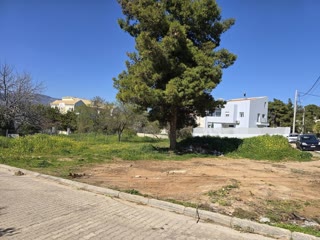 770 m² Plot