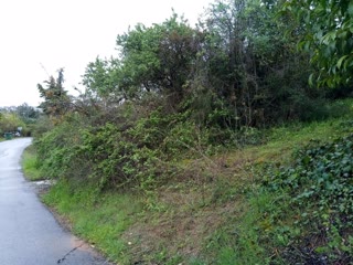 850 m² Plot