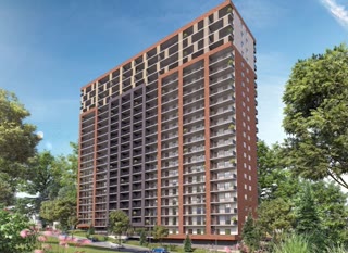 Archi Nutsubidze 2