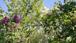 Продам земельну ділянку під забудову в межах міста