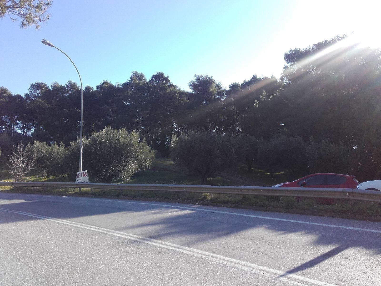 Οικόπεδο 2300τ.μ.
