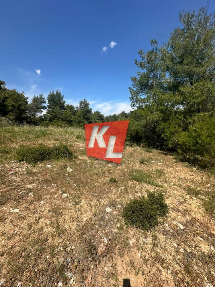 Οικόπεδο 800τ.μ.