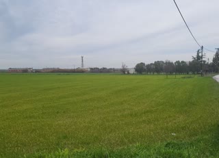Parcel of 6800 m²