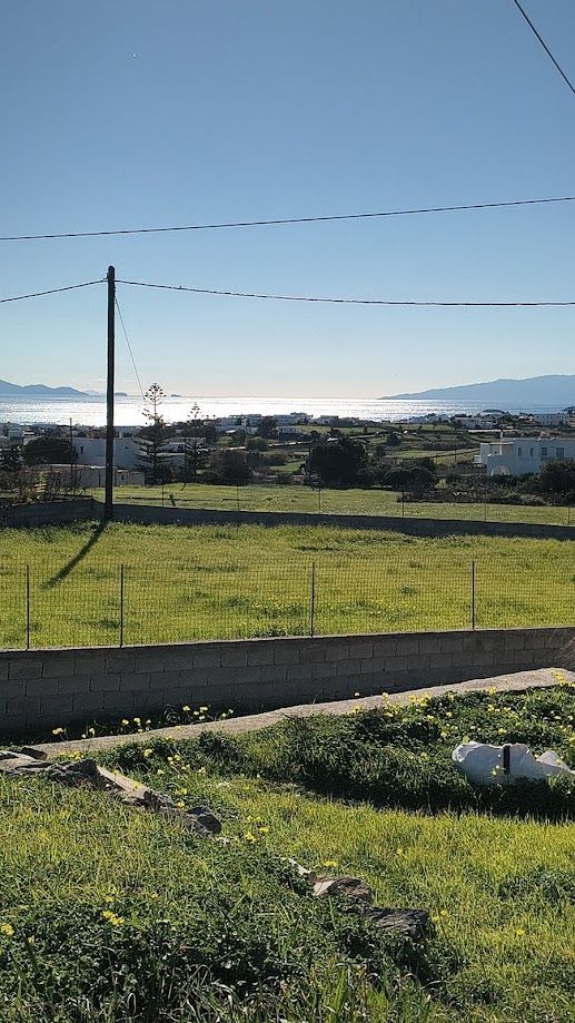 524 m² Plot