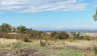 4600 m² Parcel