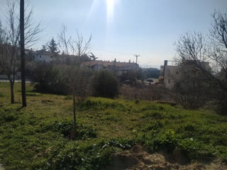 950 m² Plot