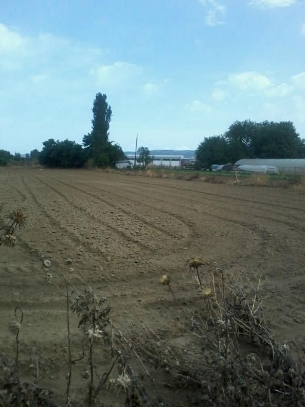 Участок 7700 м²