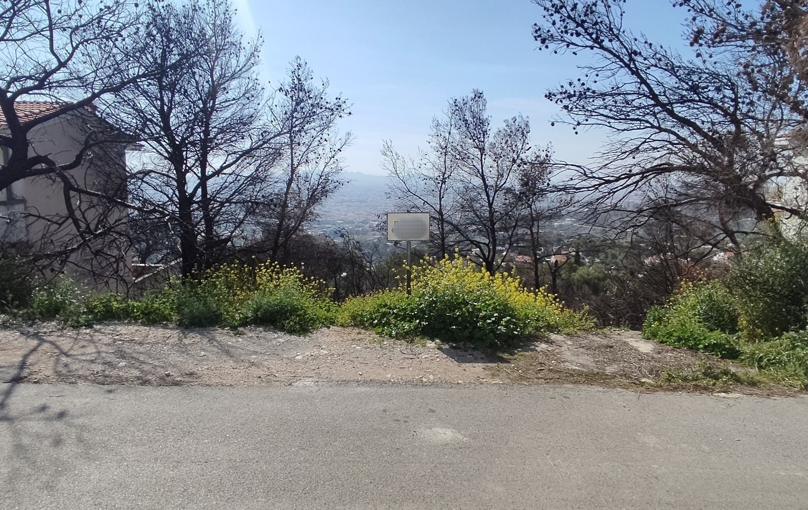 1095 m² Plot
