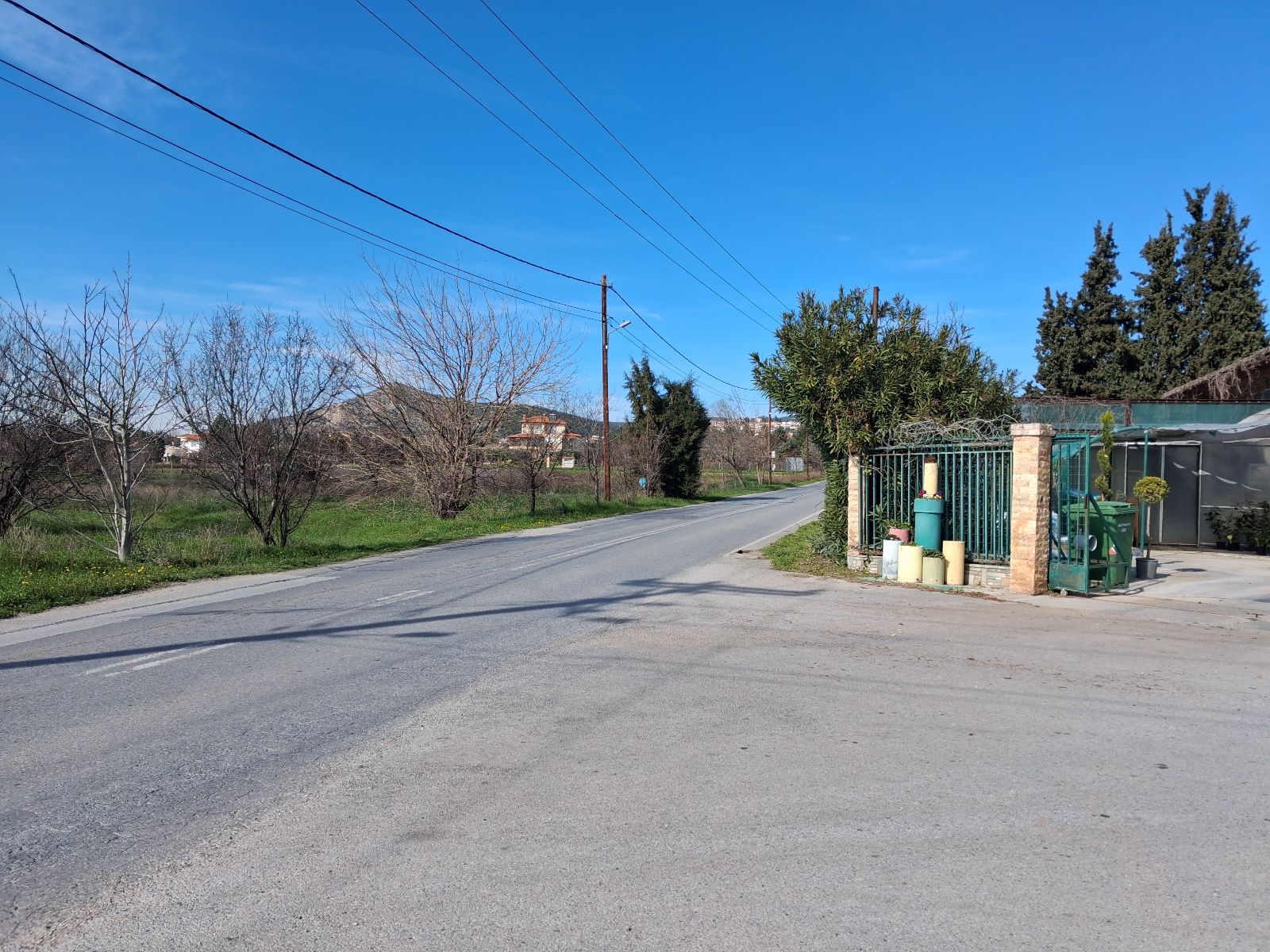 2500 m² Plot