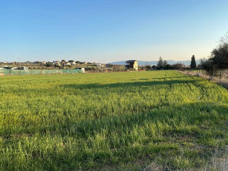 7650 m² Parcel