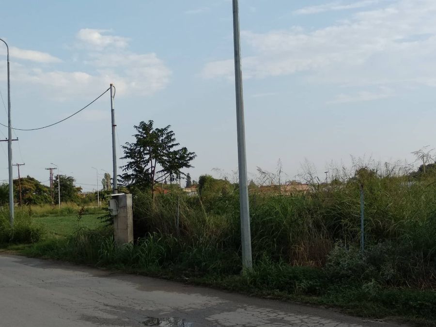 Участок, 12000 м²