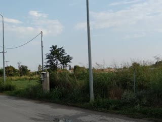Участок, 12000 м²