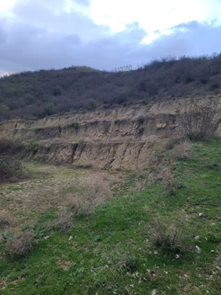 იყიდება მიწის ნაკვეთი.