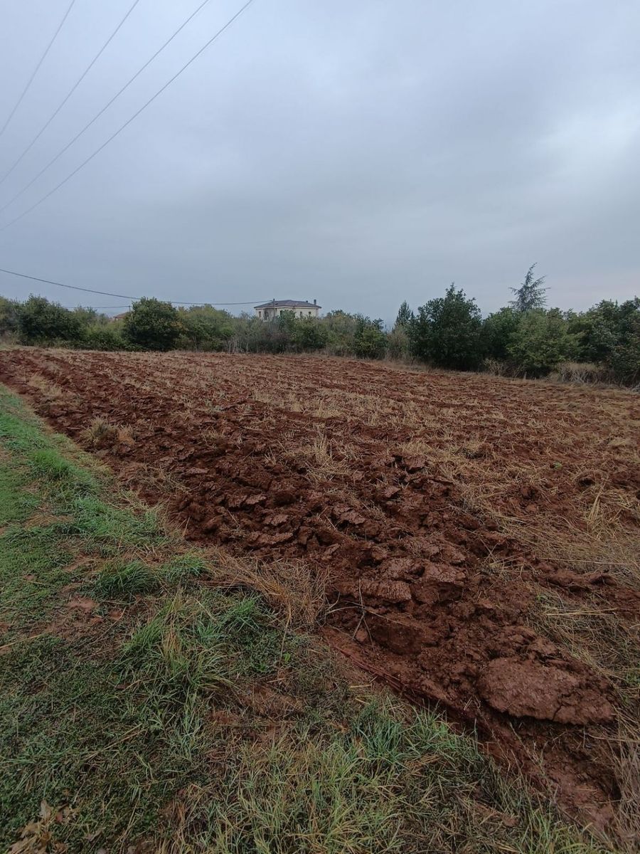 2000 m² Parcel