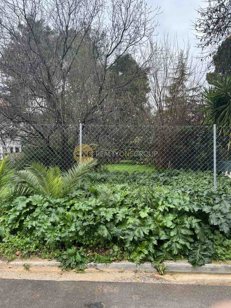 Οικόπεδο 3000 τ.μ.
