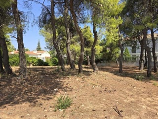 1700 m² Plot
