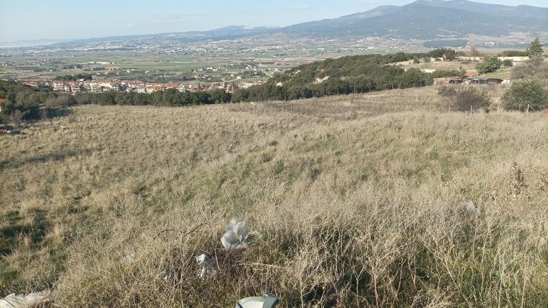 6000 m² Parcel