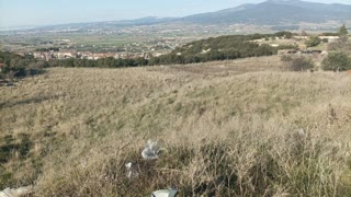 6000 m² Parcel