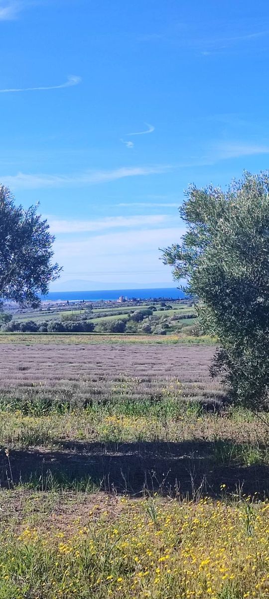 10000 m² Parcel
