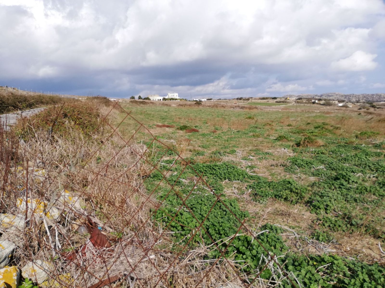 6929 m² Parcel