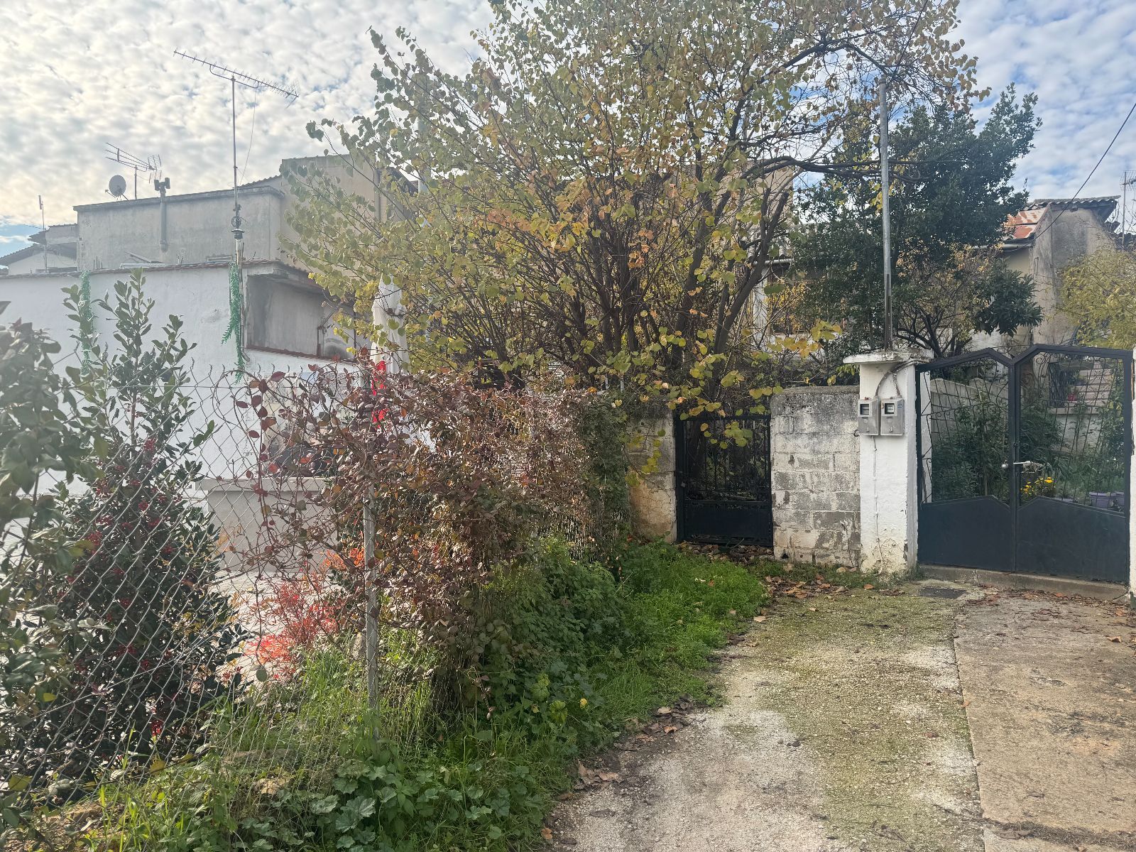 154 m² Plot