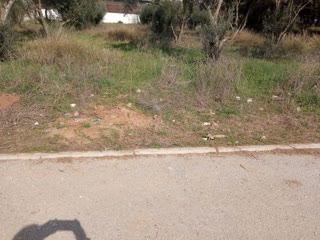 8360 m² Parcel