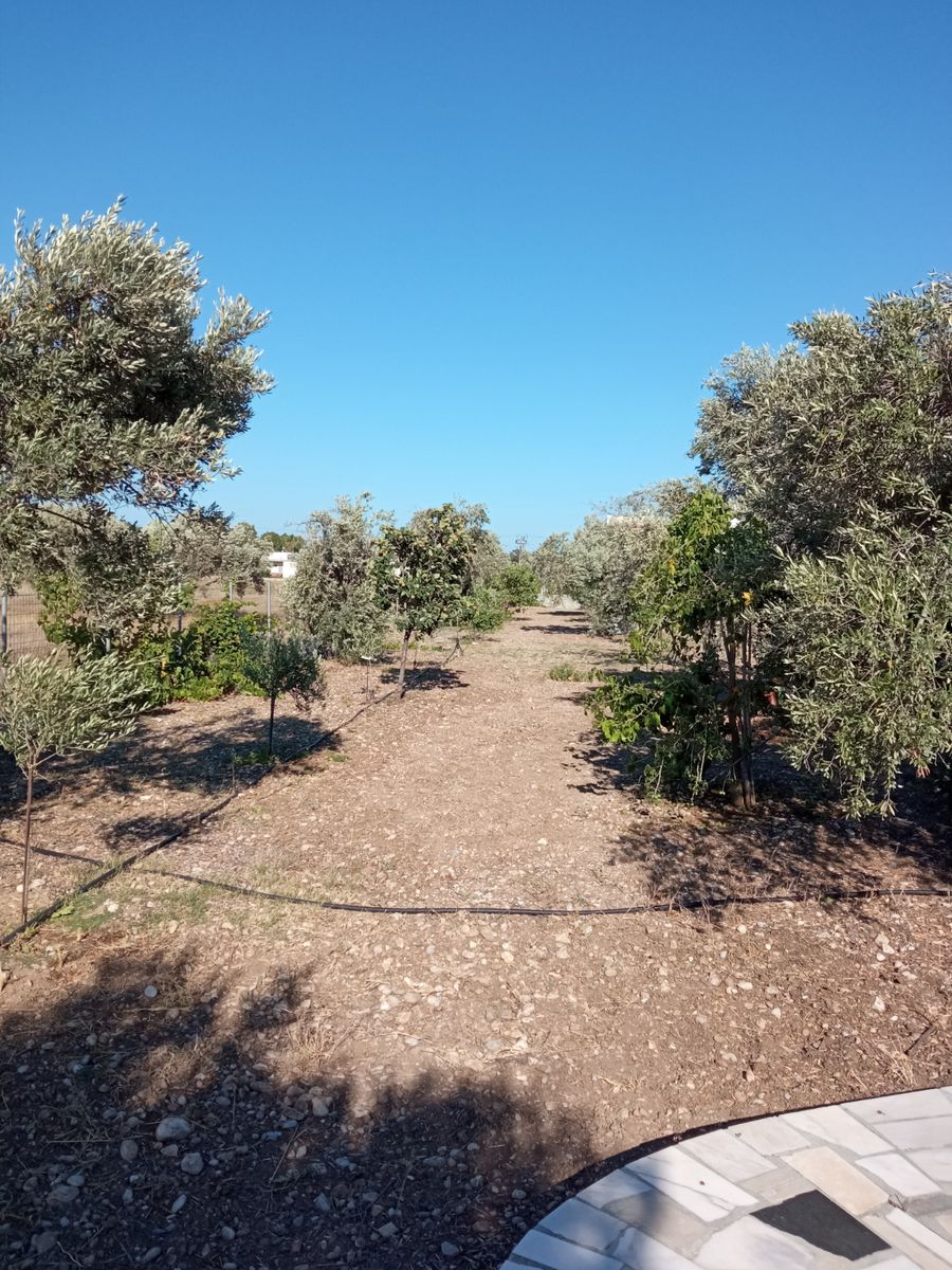 Μονοκατοικία 90τ.μ.